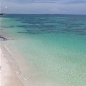 Meet your Posher, Joselyn